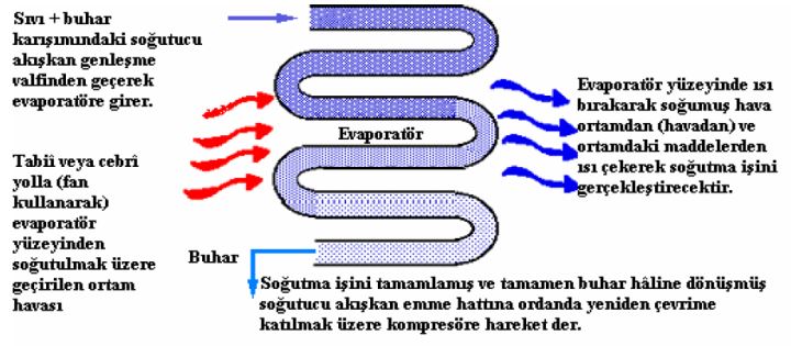 Evaporatör Çalışma Prensibi