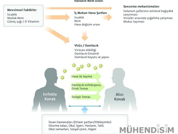 Mevsimsel Faktörlerin Virüslerin Bulaşmasına Etkileri